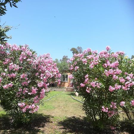 Villa Olia Tortolì Exteriér fotografie
