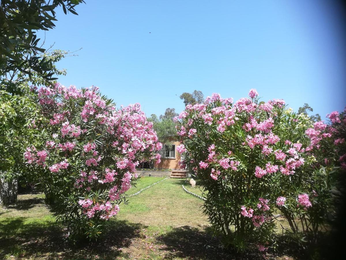 Villa Olia Tortolì Exteriér fotografie